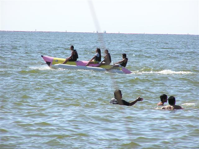P1010113__Small_.JPG