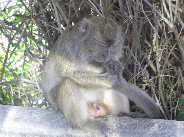 P7260038__Small_.JPG